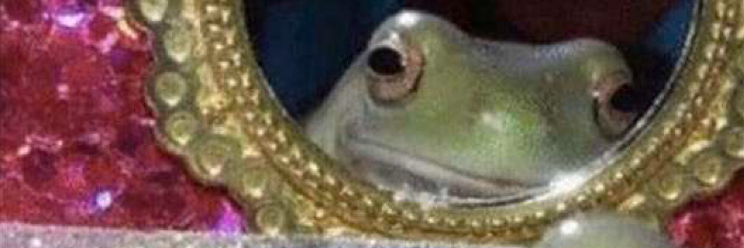 Matt