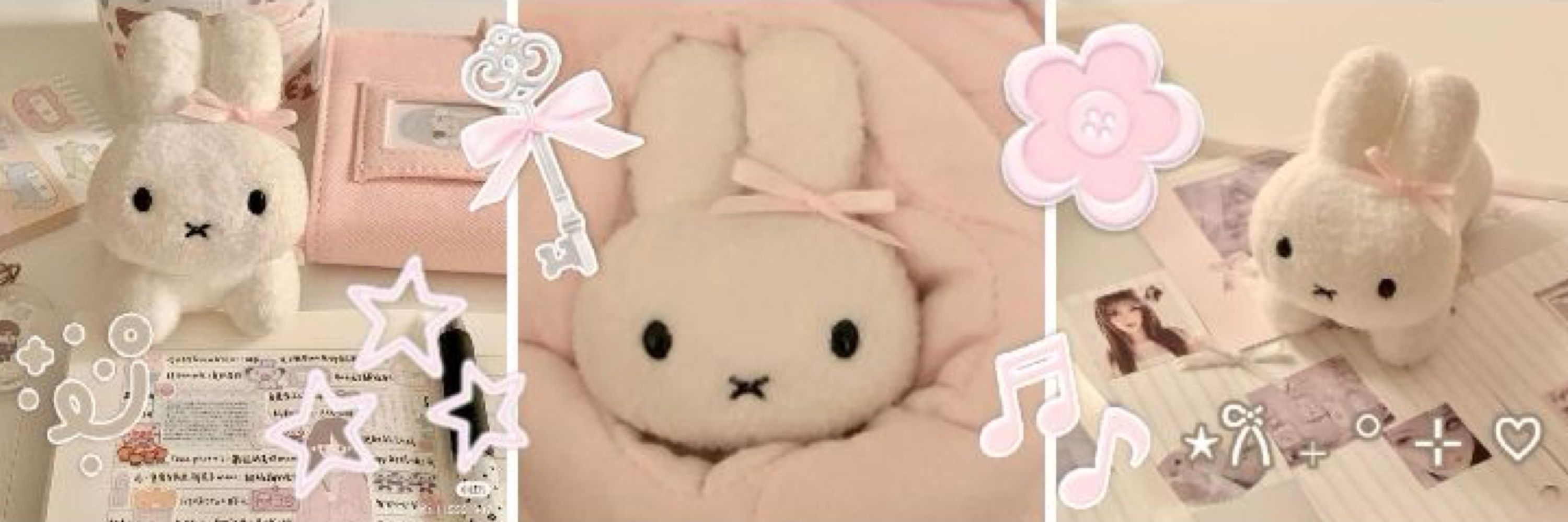 ֹ ˚₊‧ ୨୧⋅𝐸𝑣𝑎 ୧ ‧₊˚