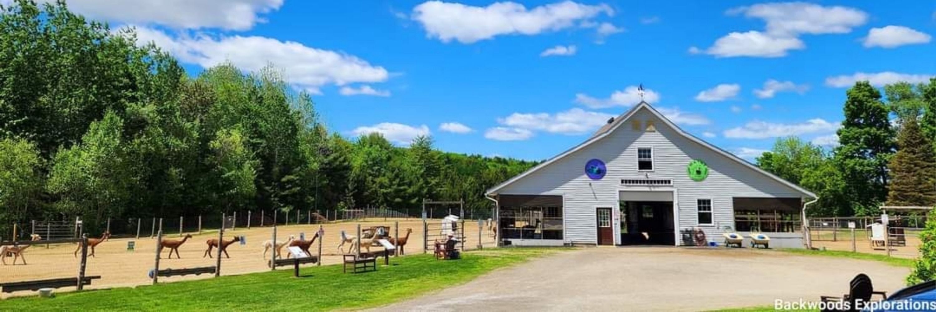 Northern Solstice Alpaca Farm