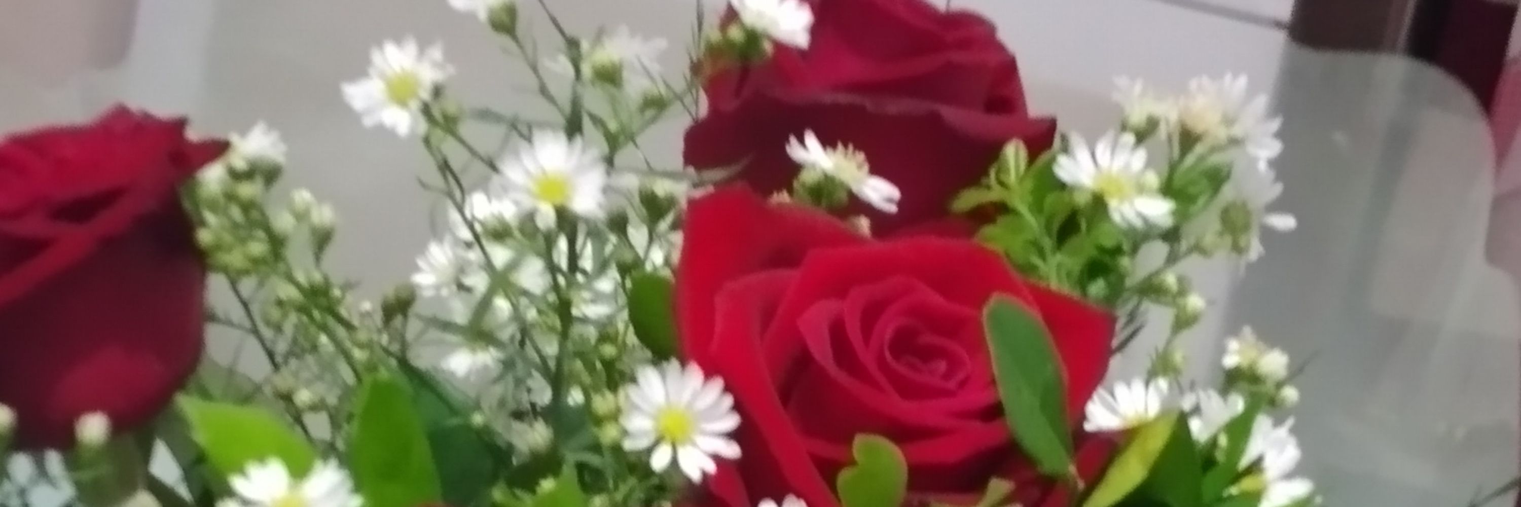 Dy🦋🌹