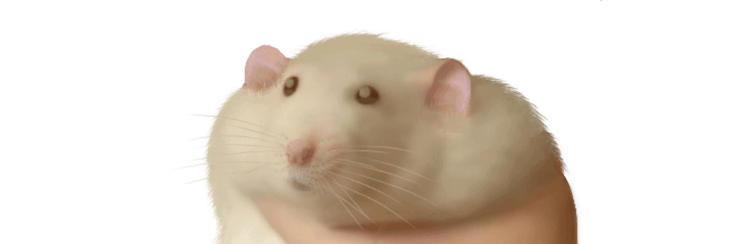 Rat King Seltas