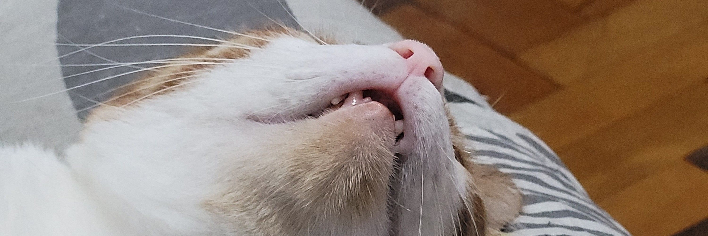 My ☆