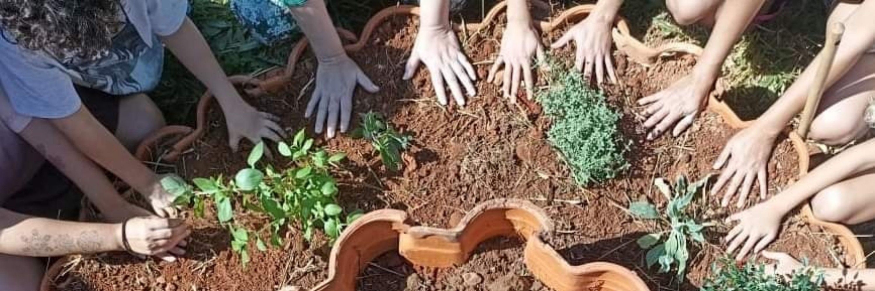 EcoviLab