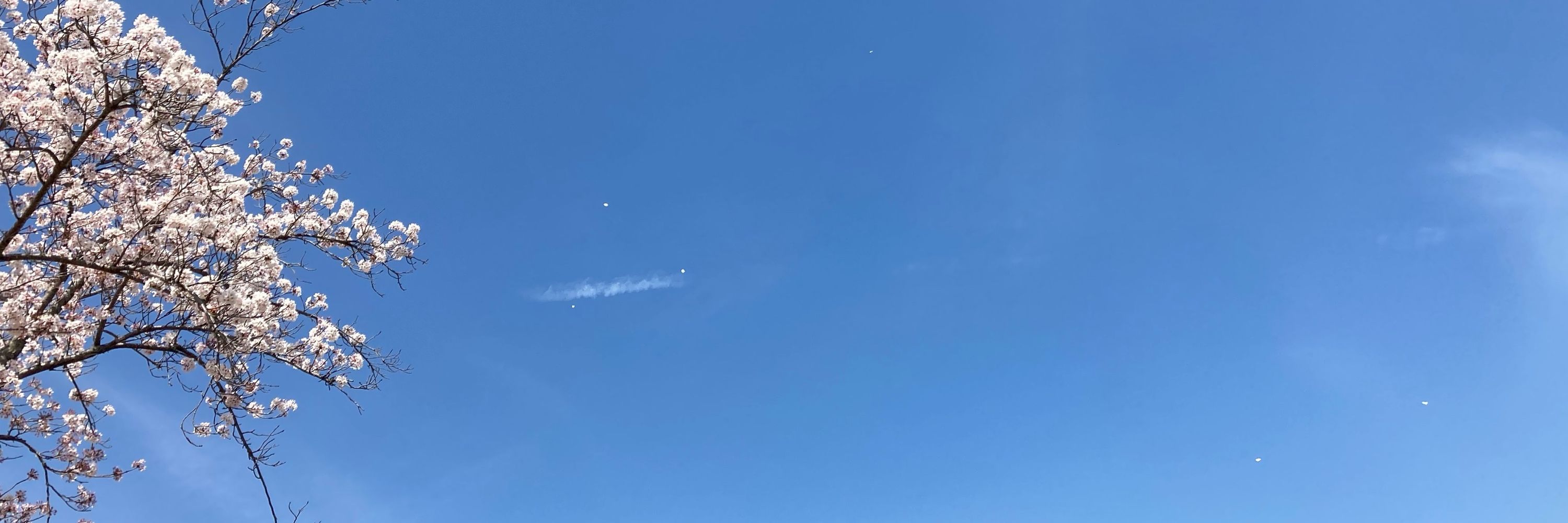 あくしあ