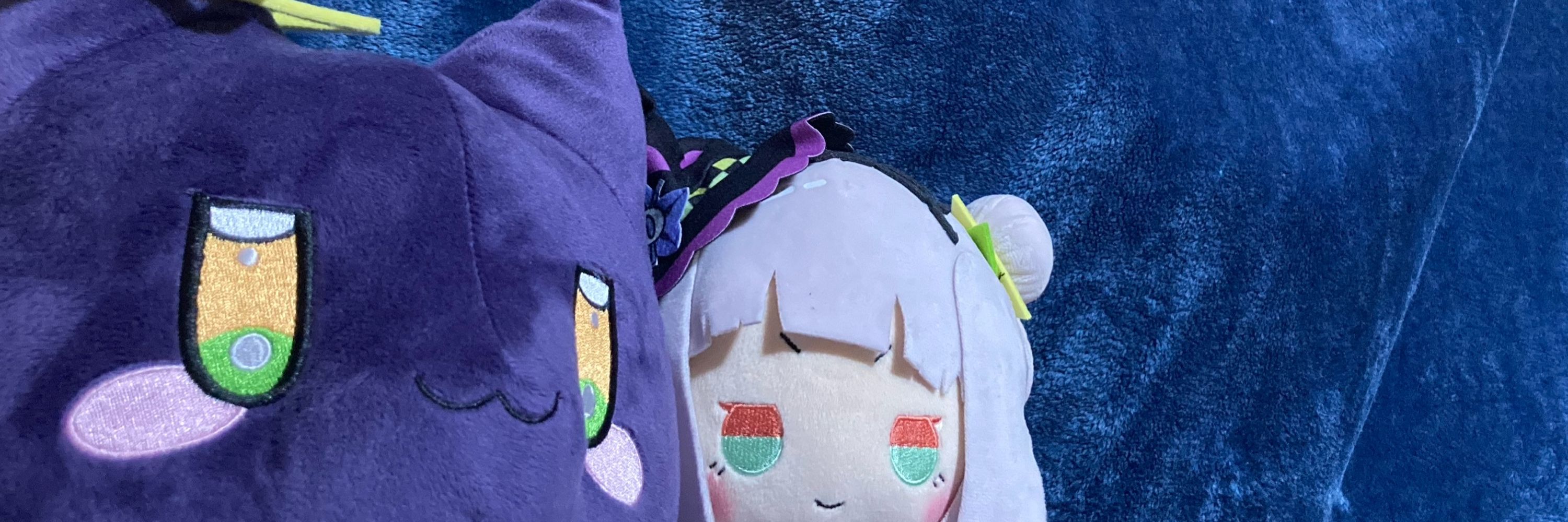 にとりん🌙