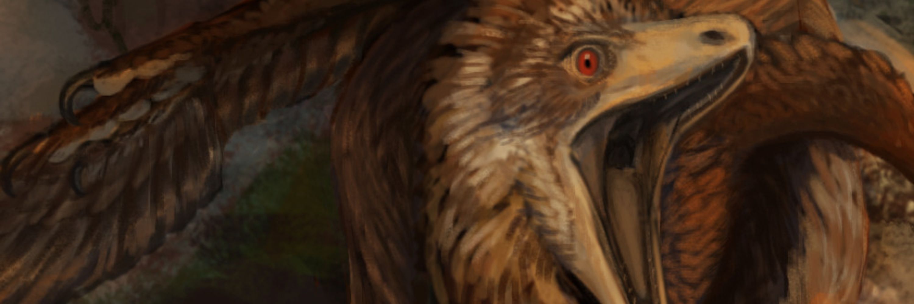 Stephanie Dziezyk  - Tricaudae Studio