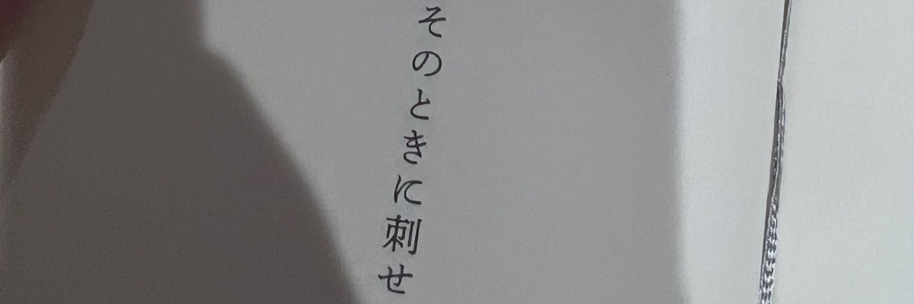 sonochi
