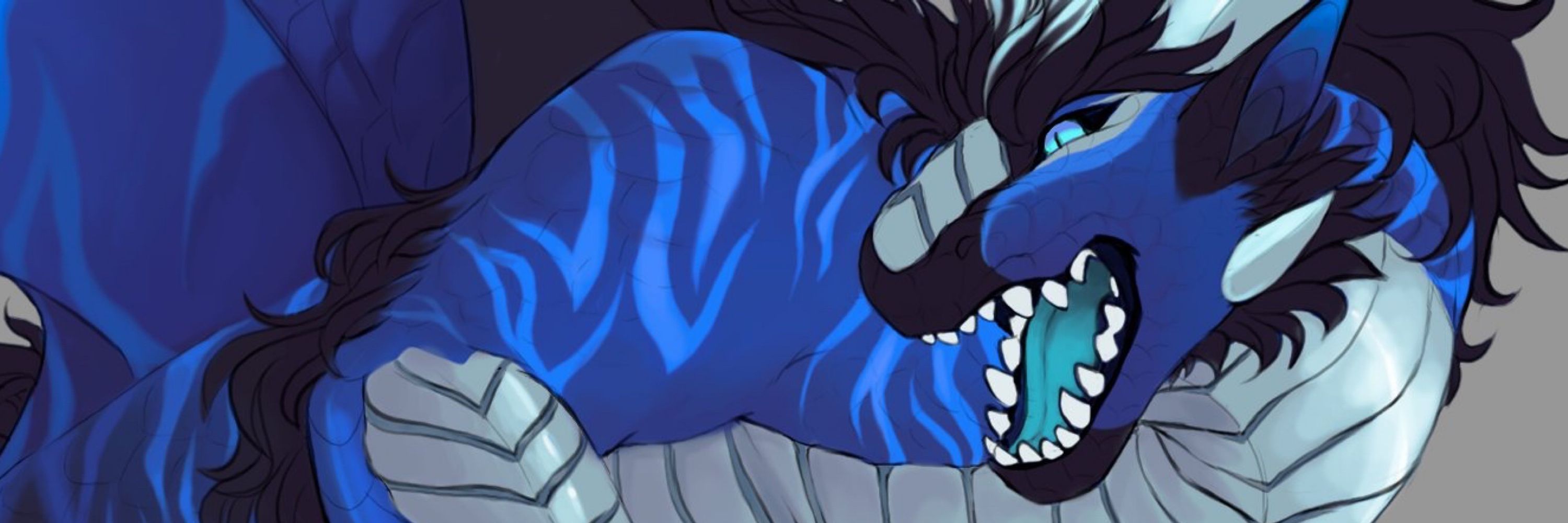Dex Dragon 👑🐉