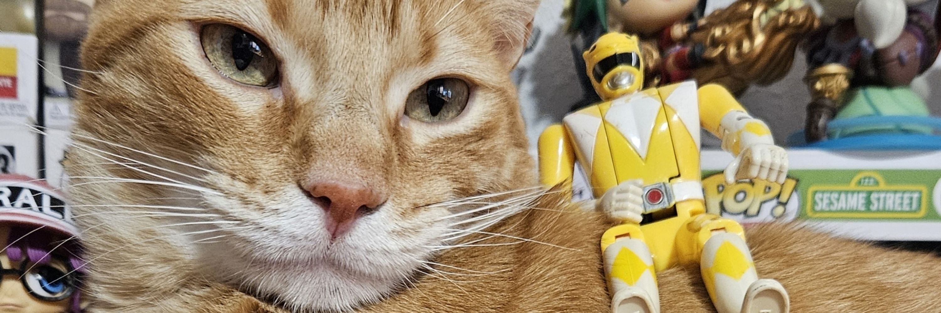 Power Ranger amarillo ⚡️