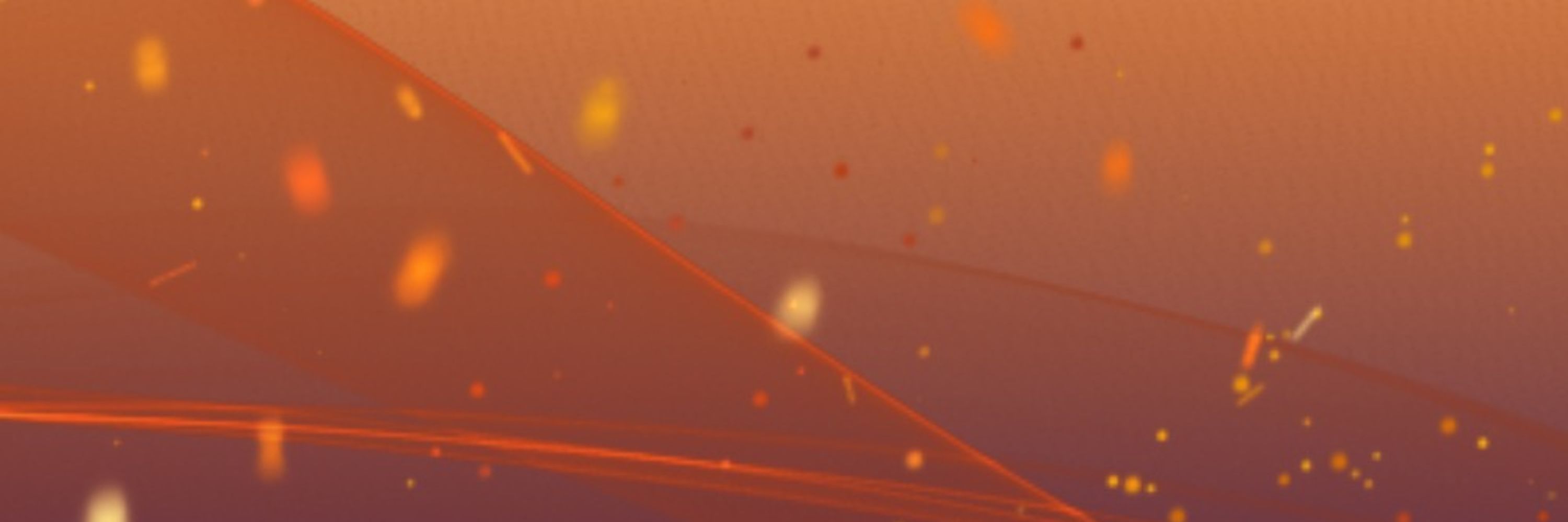 Profile banner