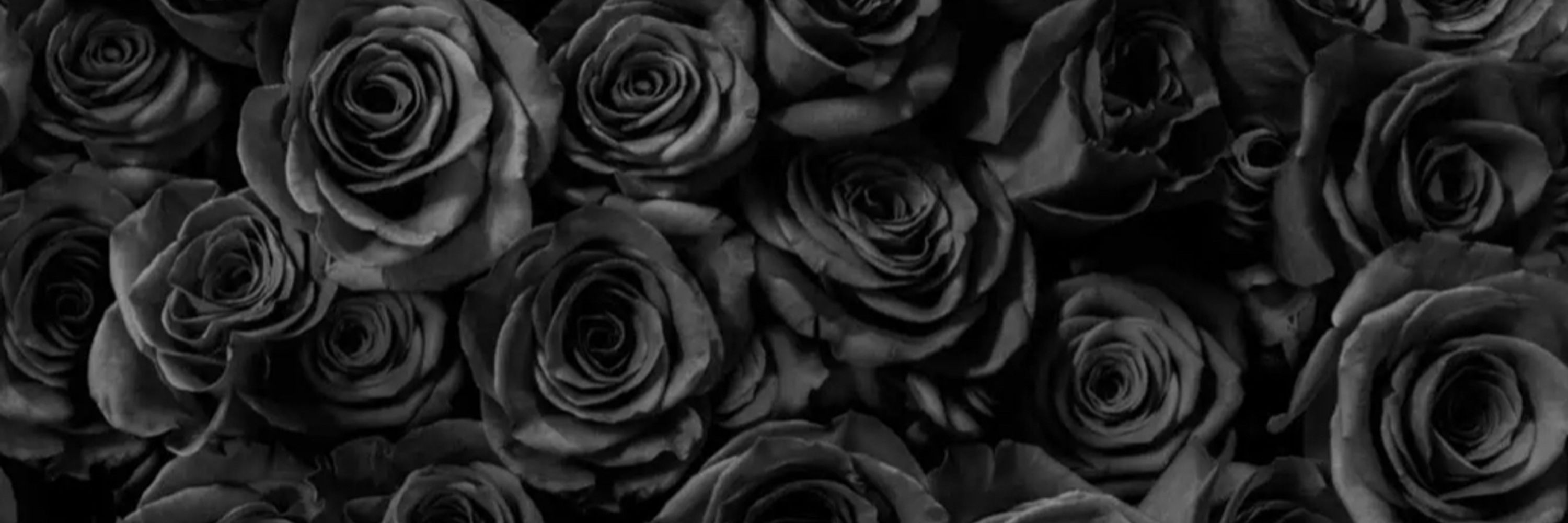 Lovely Luna🖤