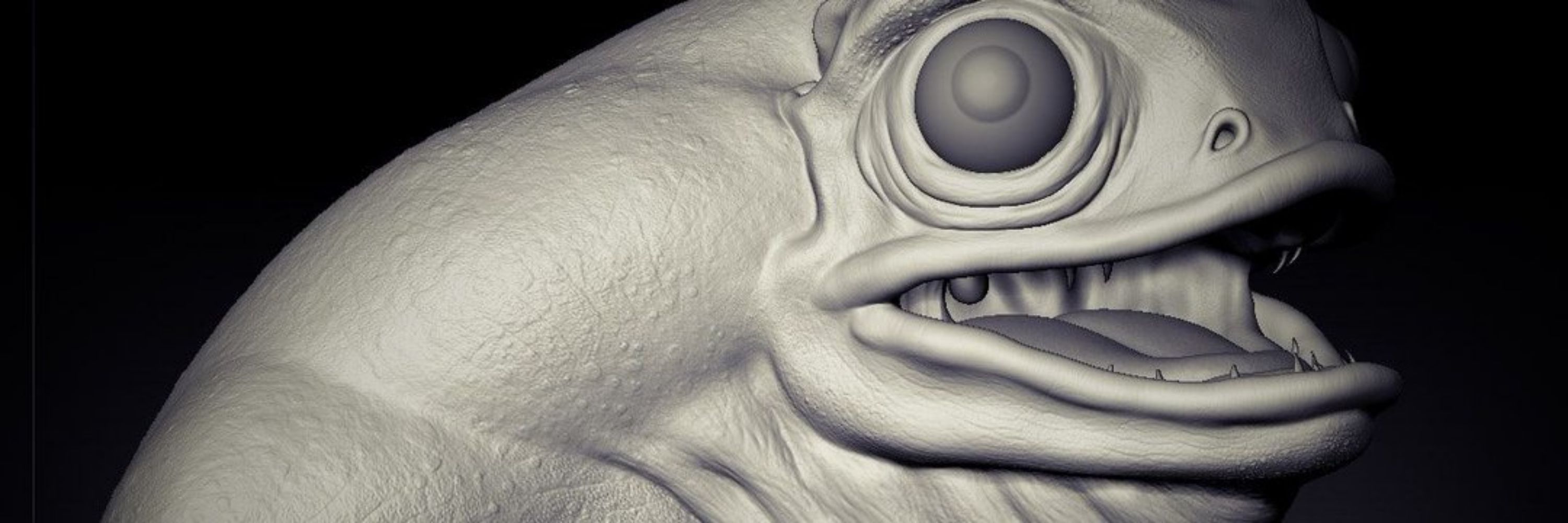 Bugue3D