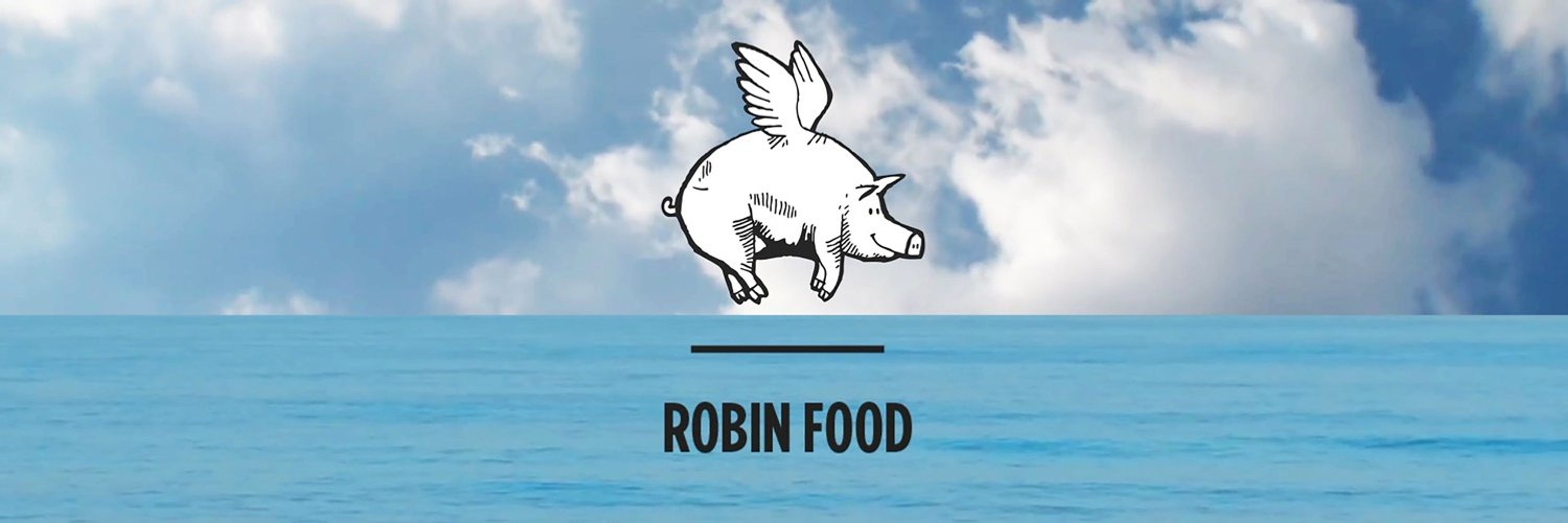 David de Jorge - Robin Food