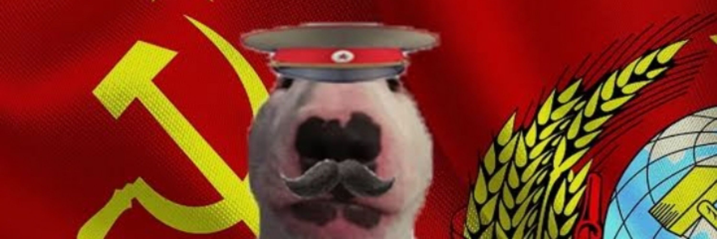 Cão Munista