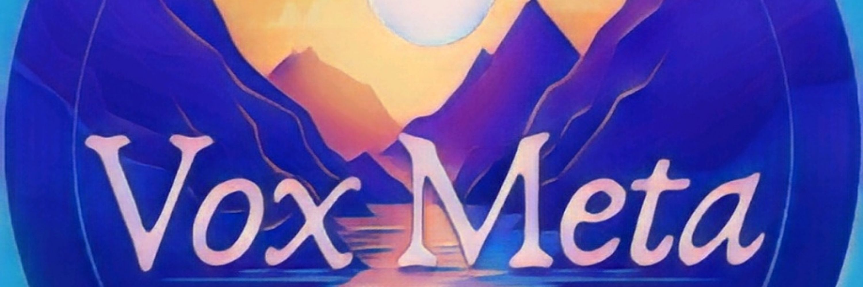 VoxMeta