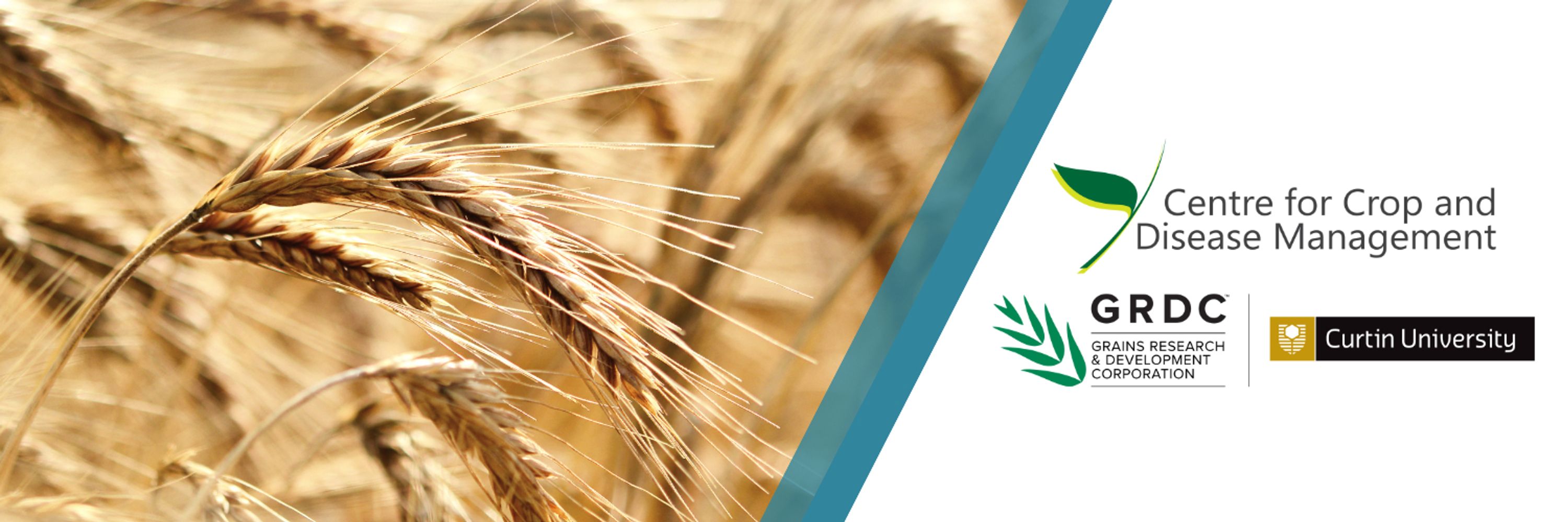 Centre for Crop and Disease Management