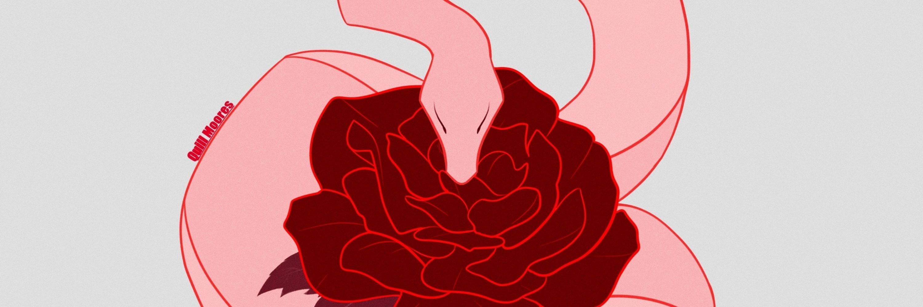 🪶Quill