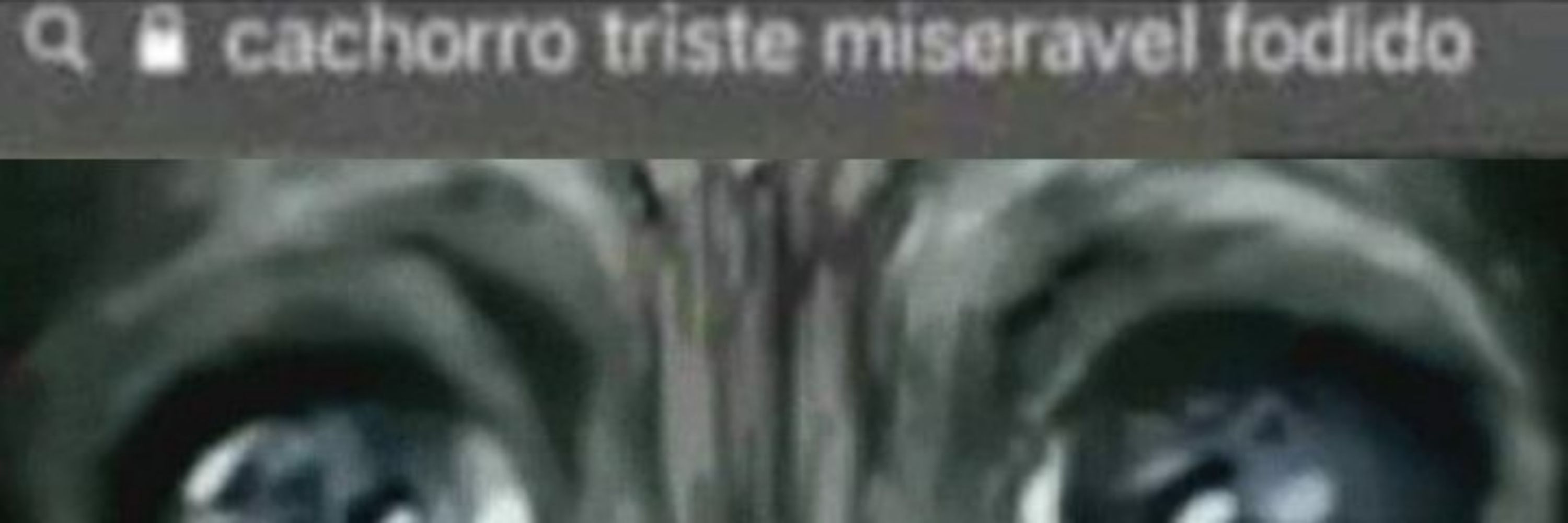 mateusXmelo
