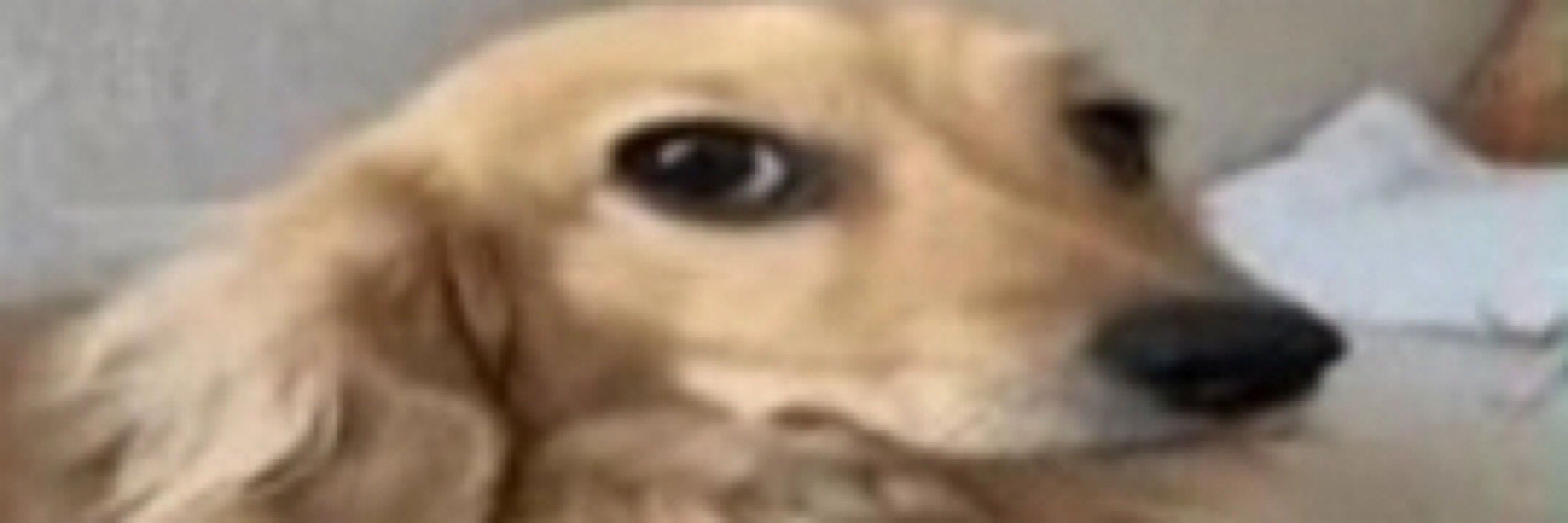 𝖎𝖟𝖆𝖆,,