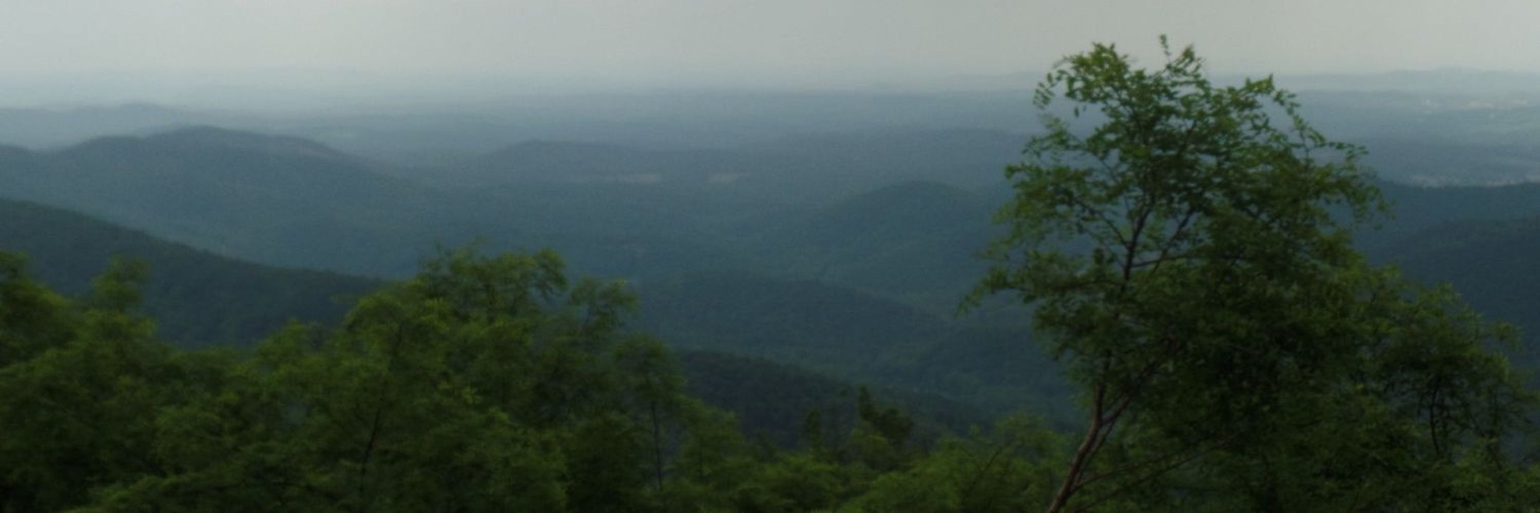 blueridgepeace