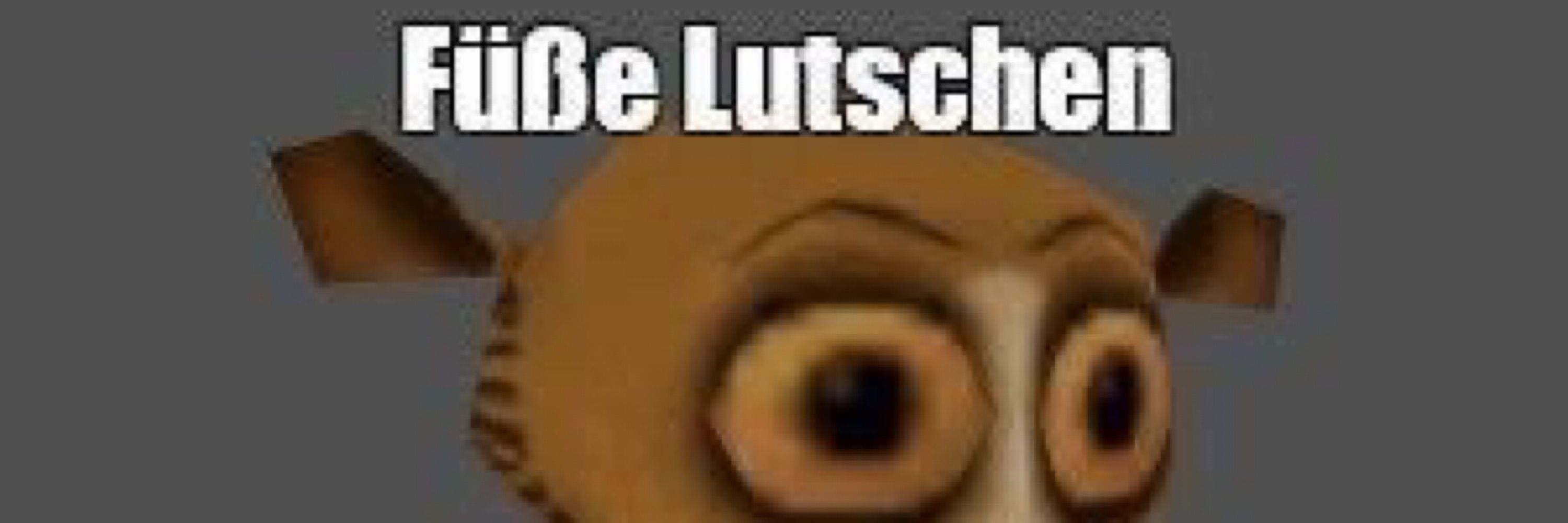 leo ernst