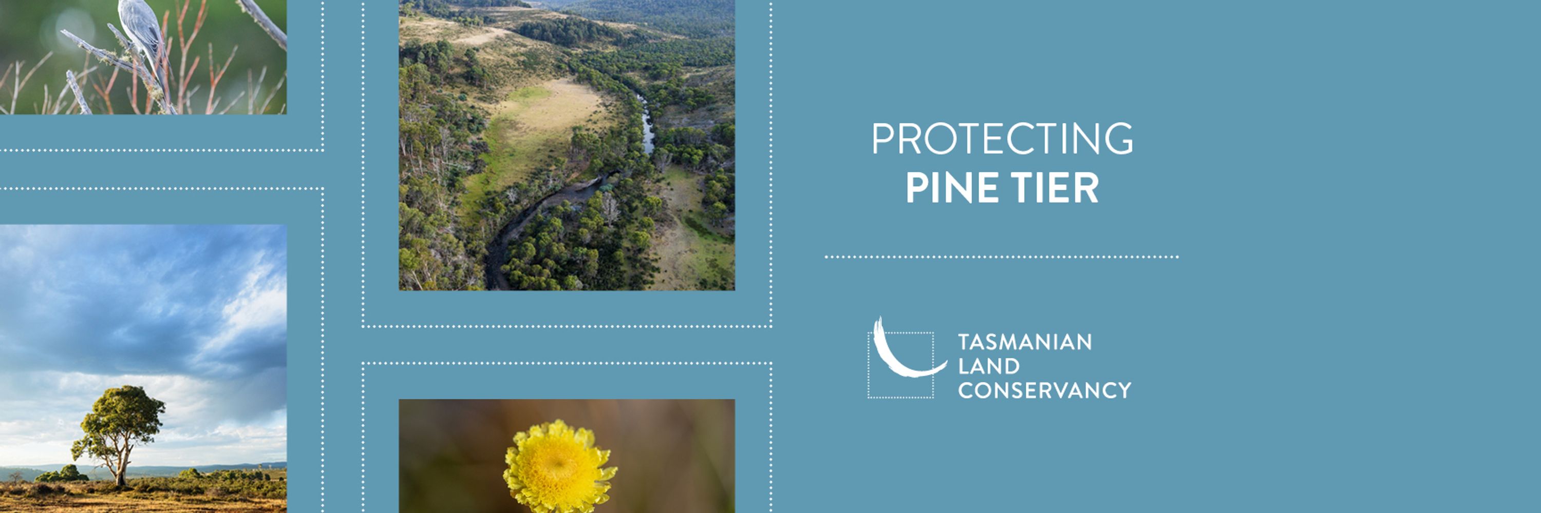 Tasmanian Land Conservancy