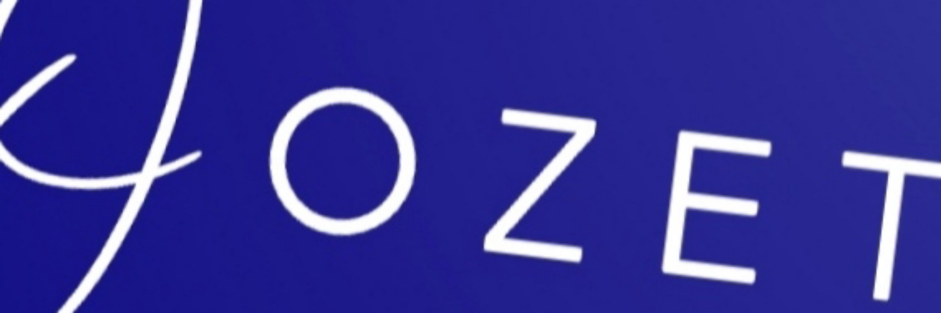 Özet