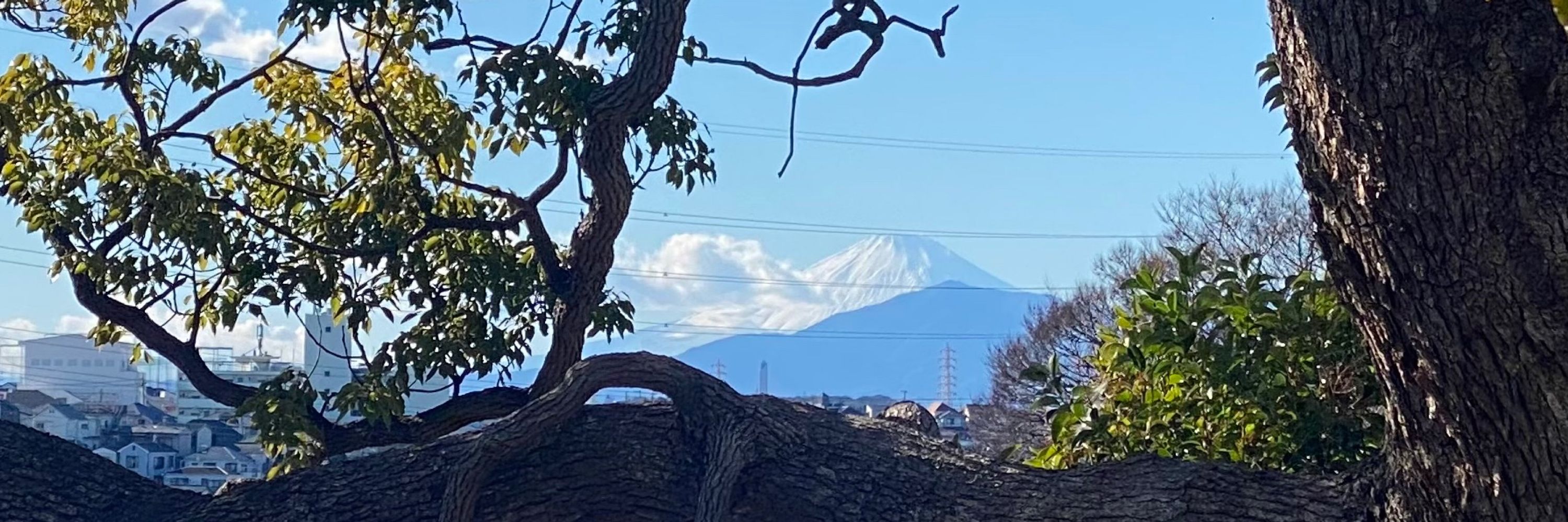 モンペ
