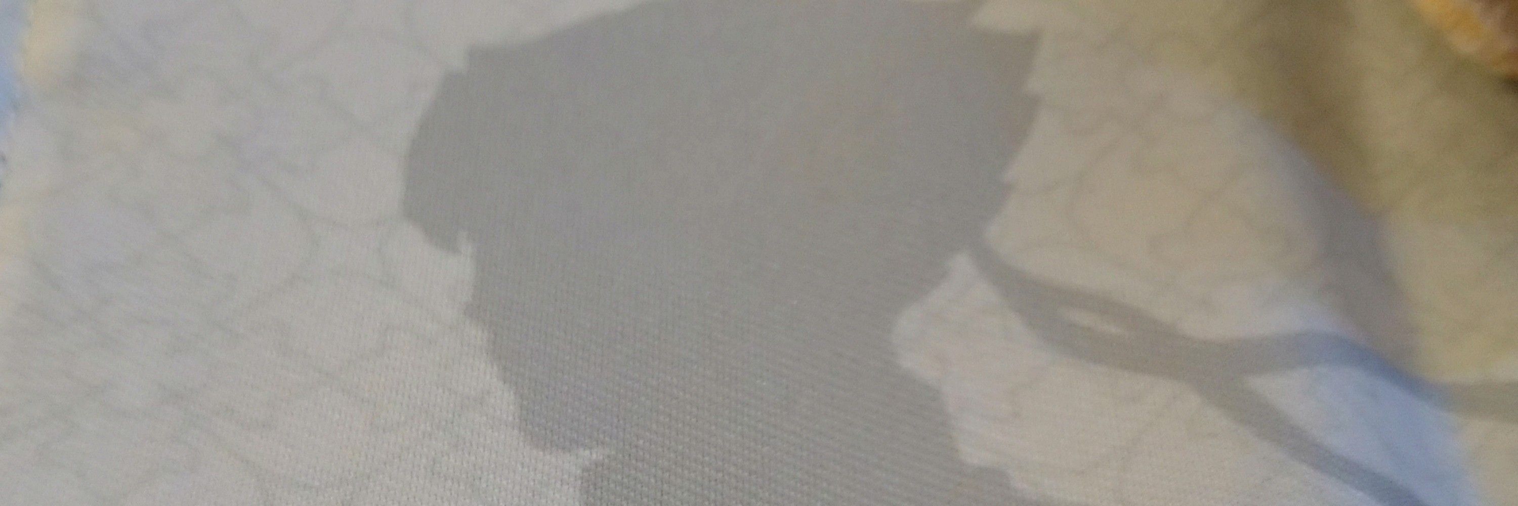 ゆず