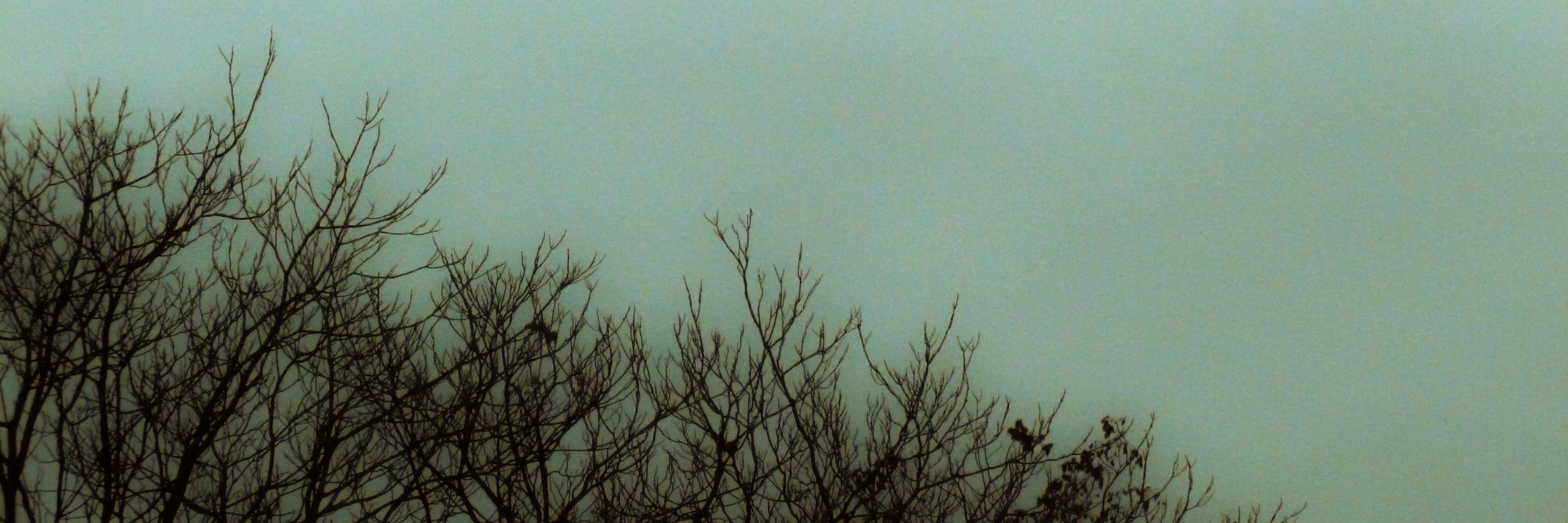 Blvebird