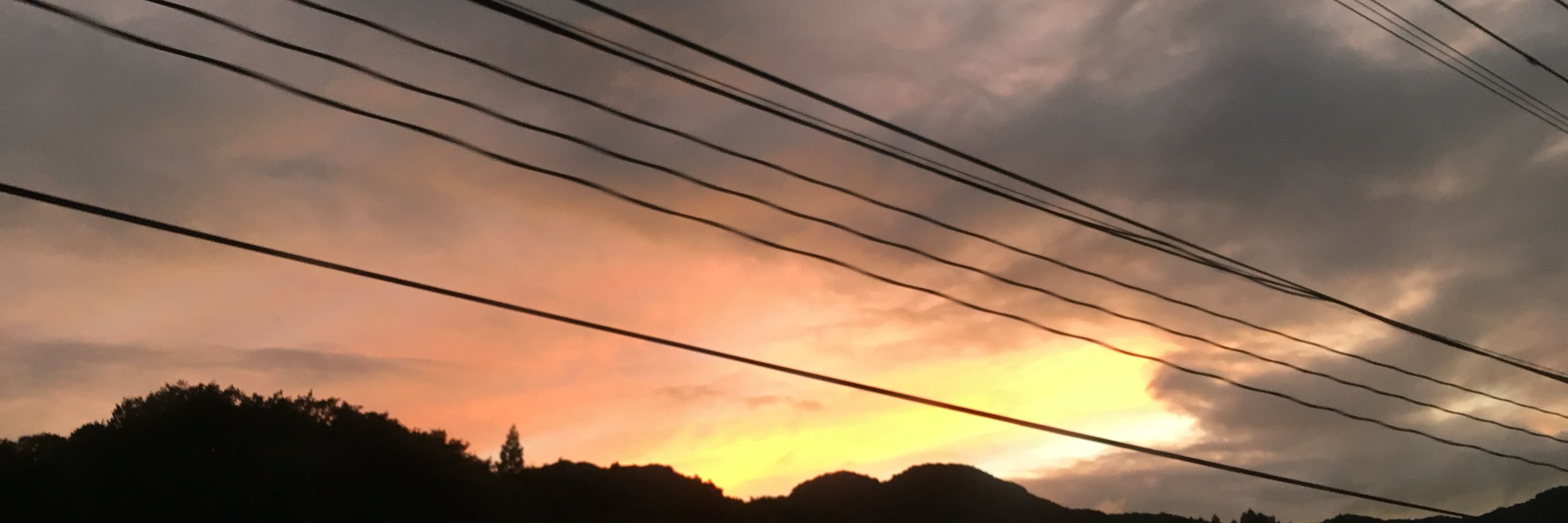 仲村海斗