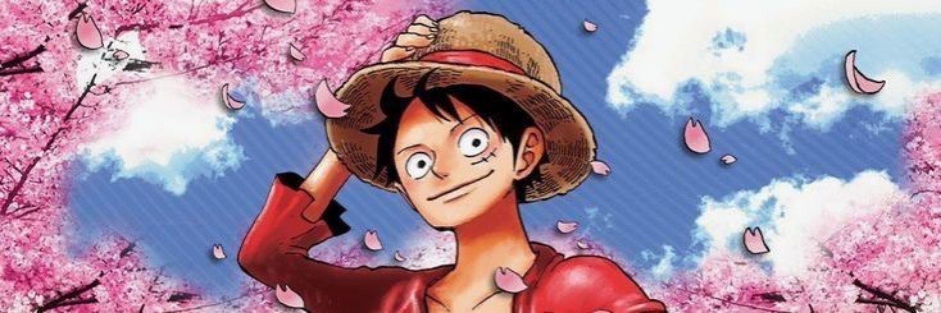 ste ama o luffy