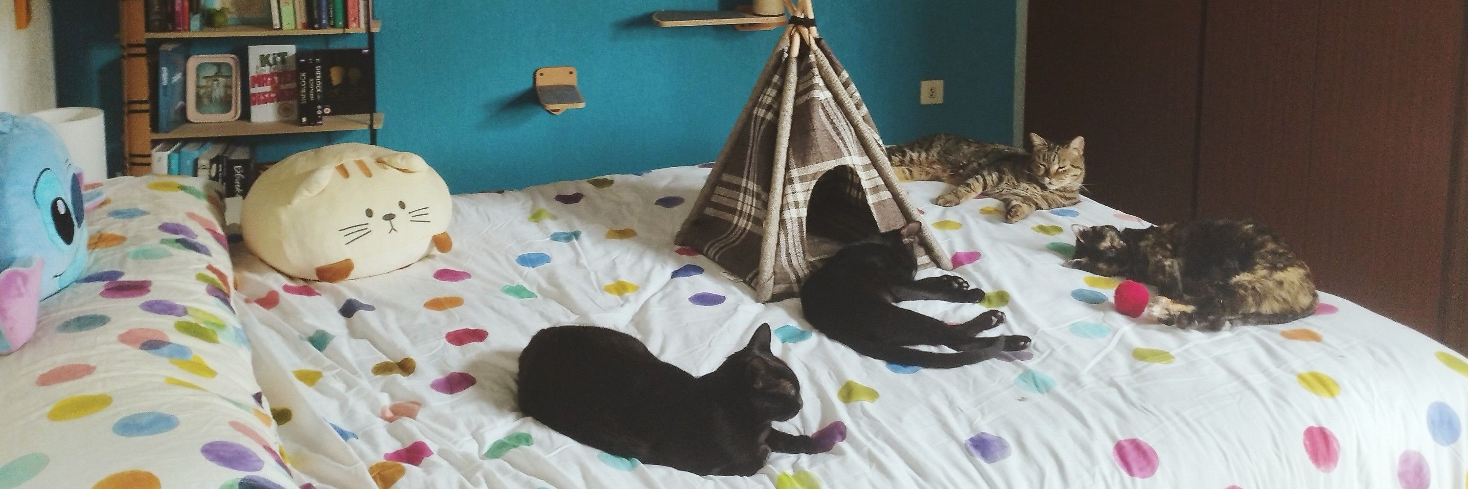 🍂 Pros 🍁🐺