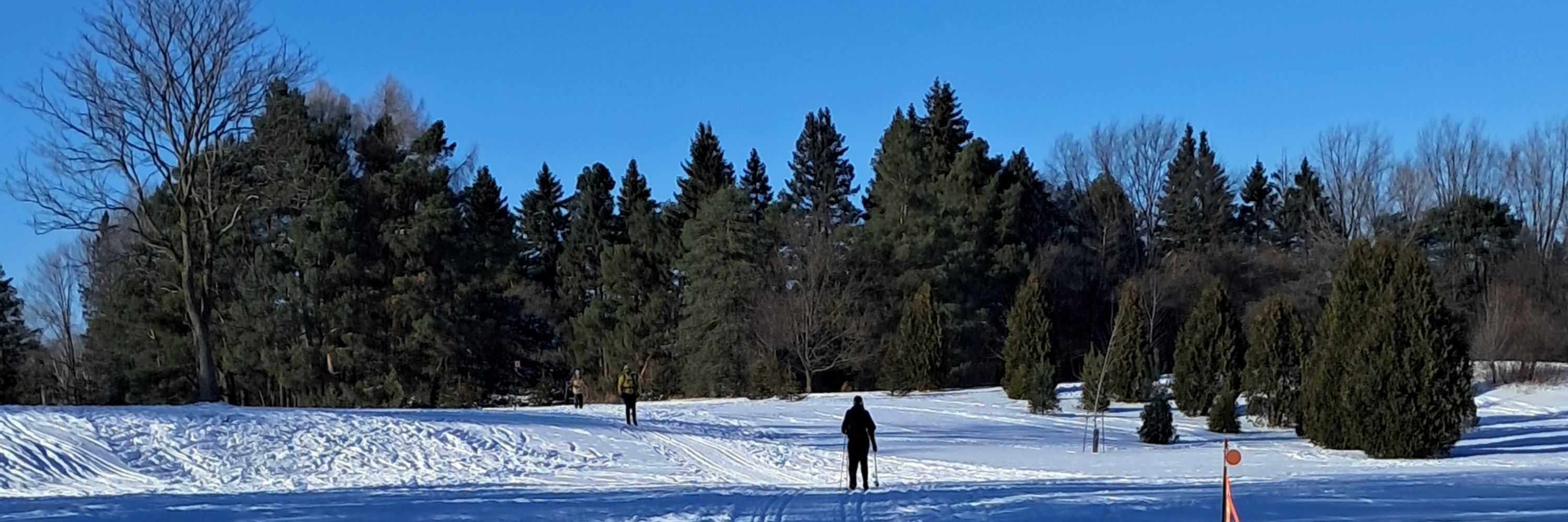 En quête d'amour débutant amitiée