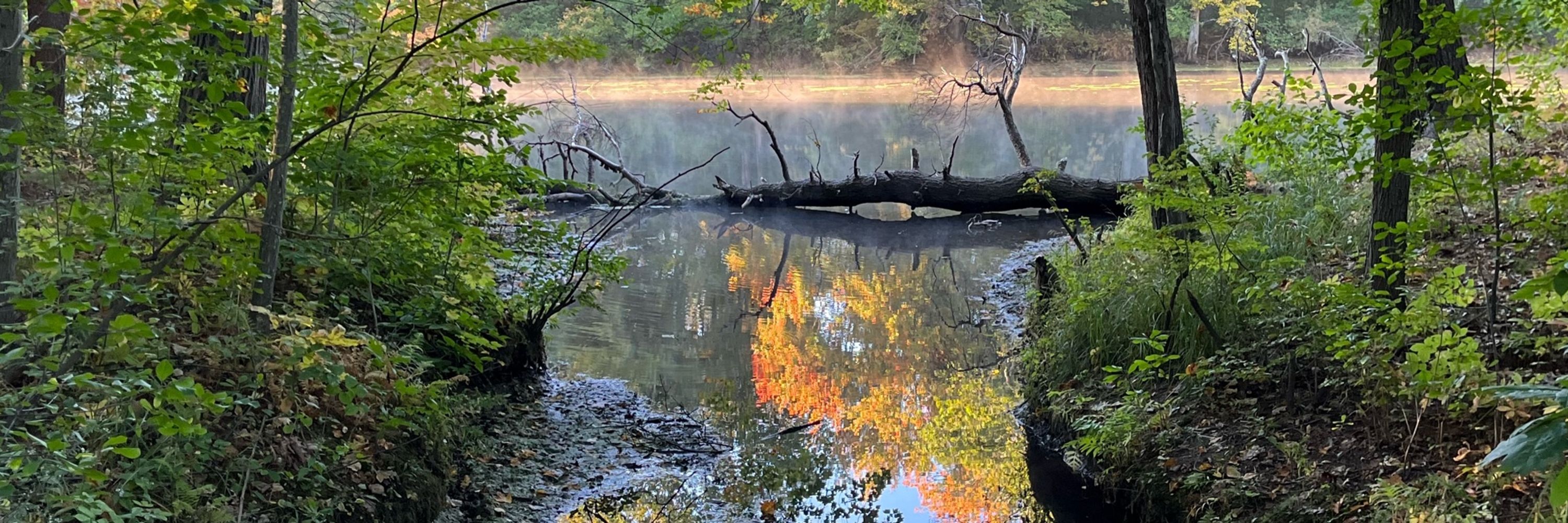 JJ in NH