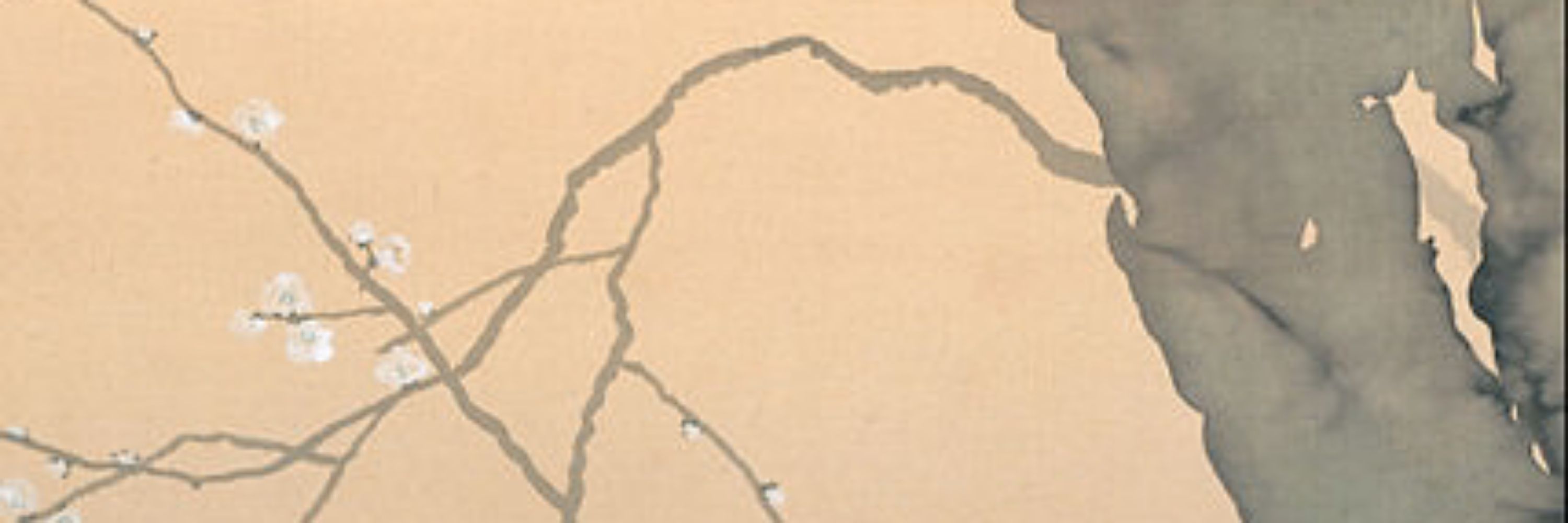 omodayo