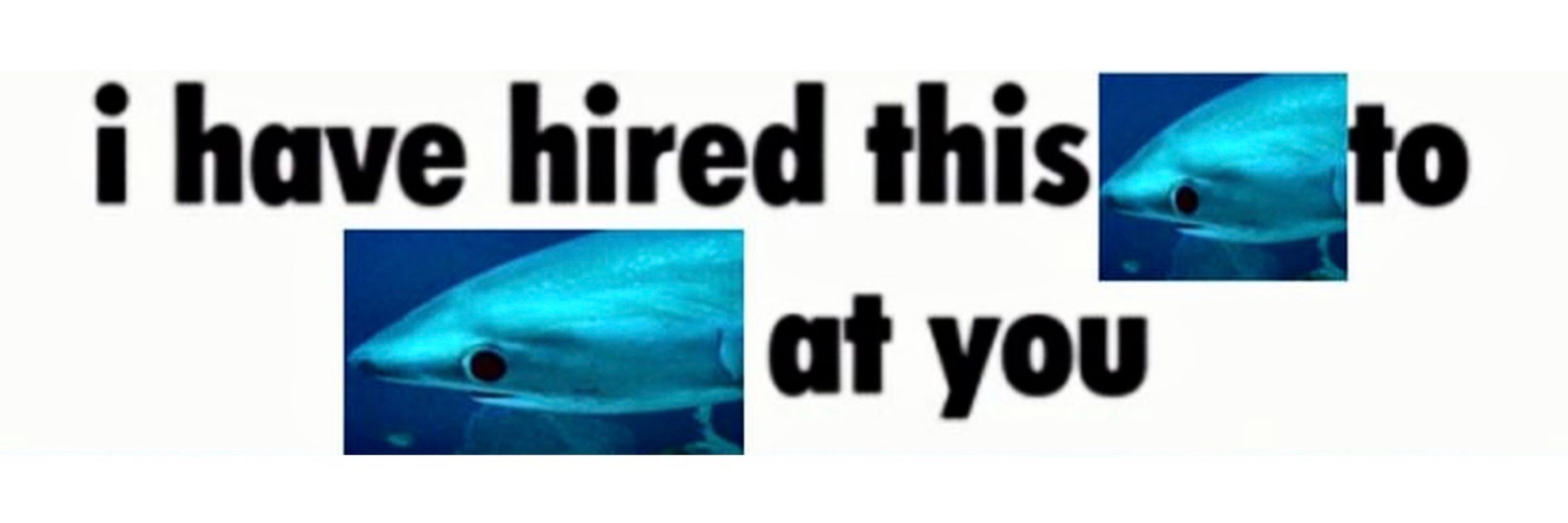tylr