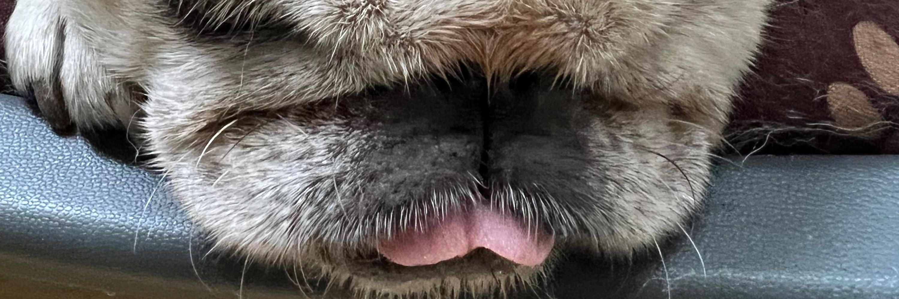 Coco