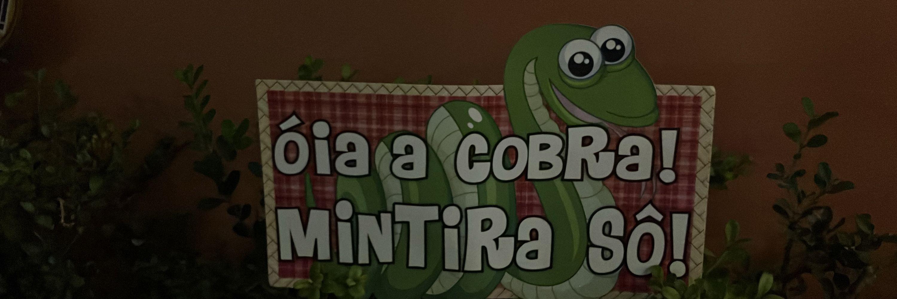 Odayr Baptista Jr
