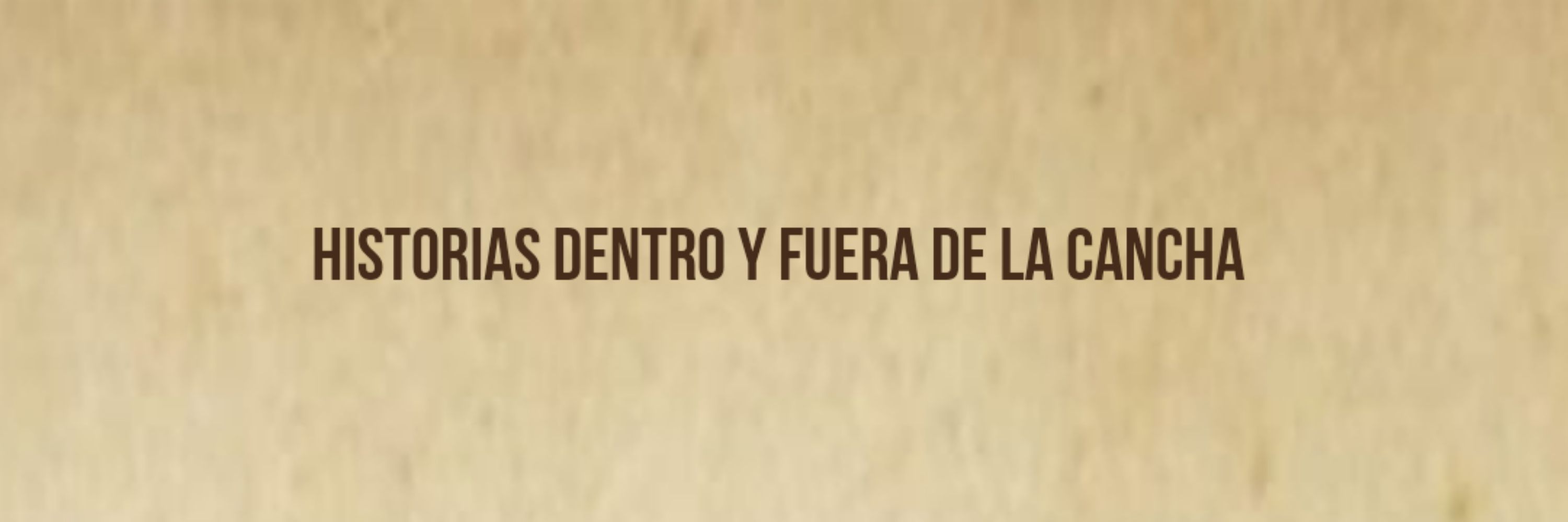 Histoporte