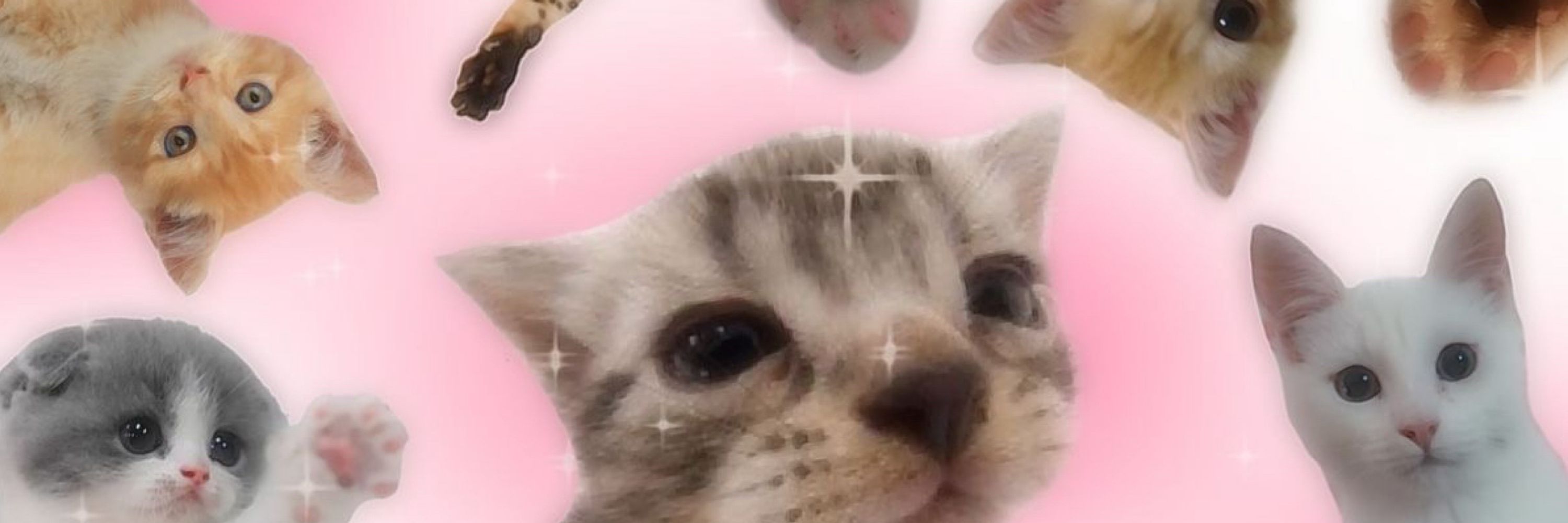 vilelinha ~ /ᐠ - ˕ -マ⁩
