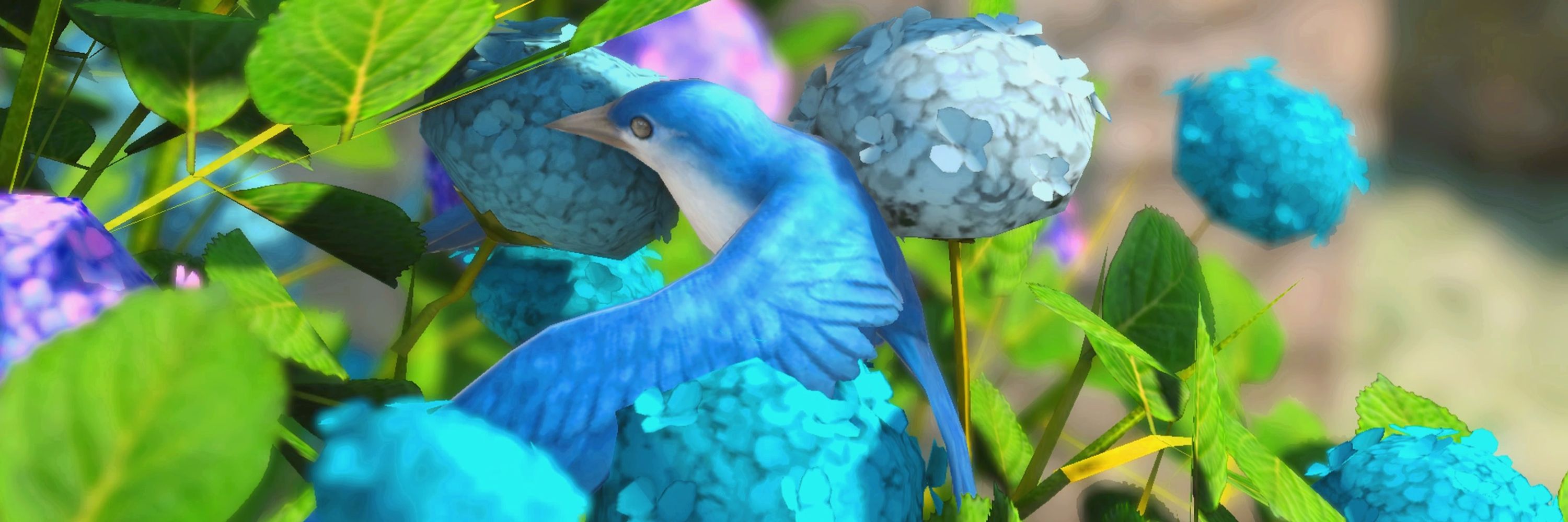 アカネ