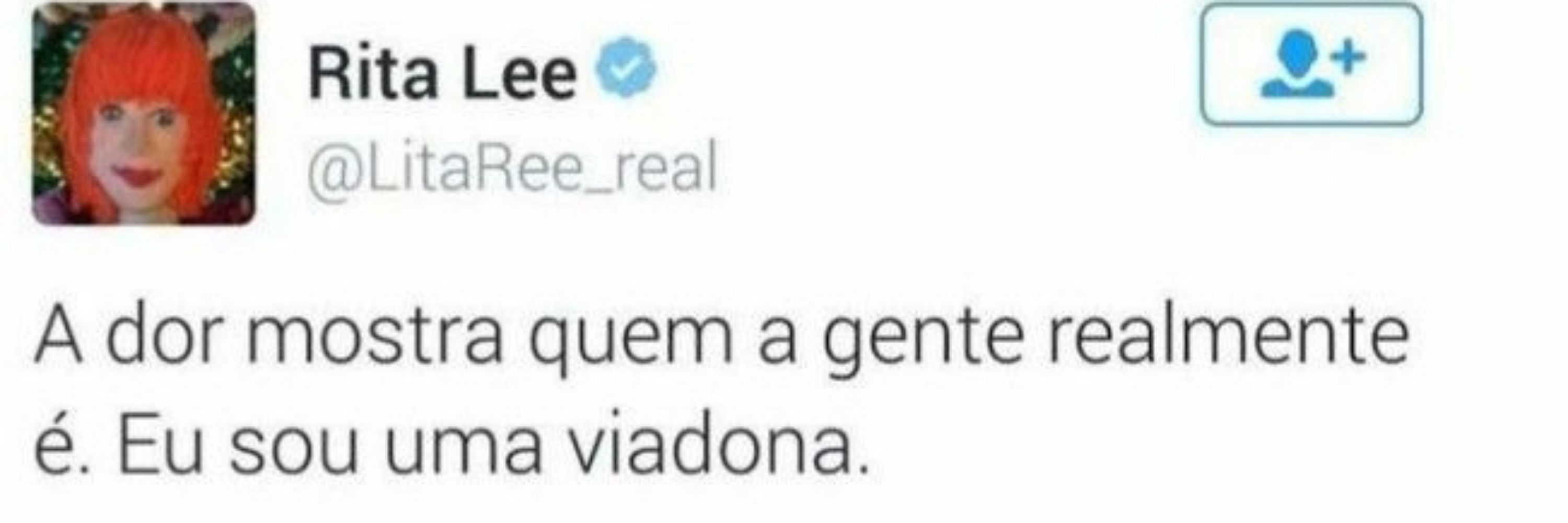 helo|📖: hibisco roxo