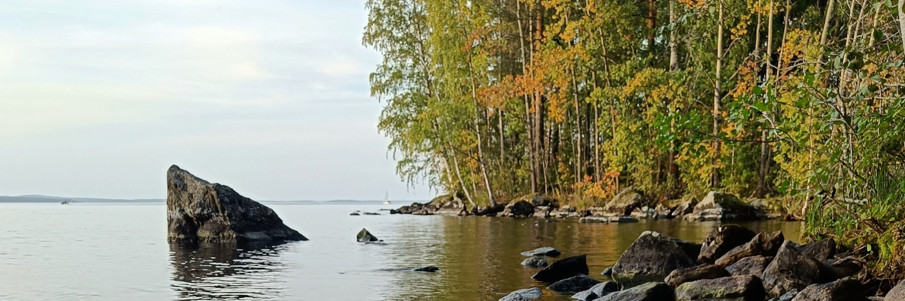 Syksy Viholainen