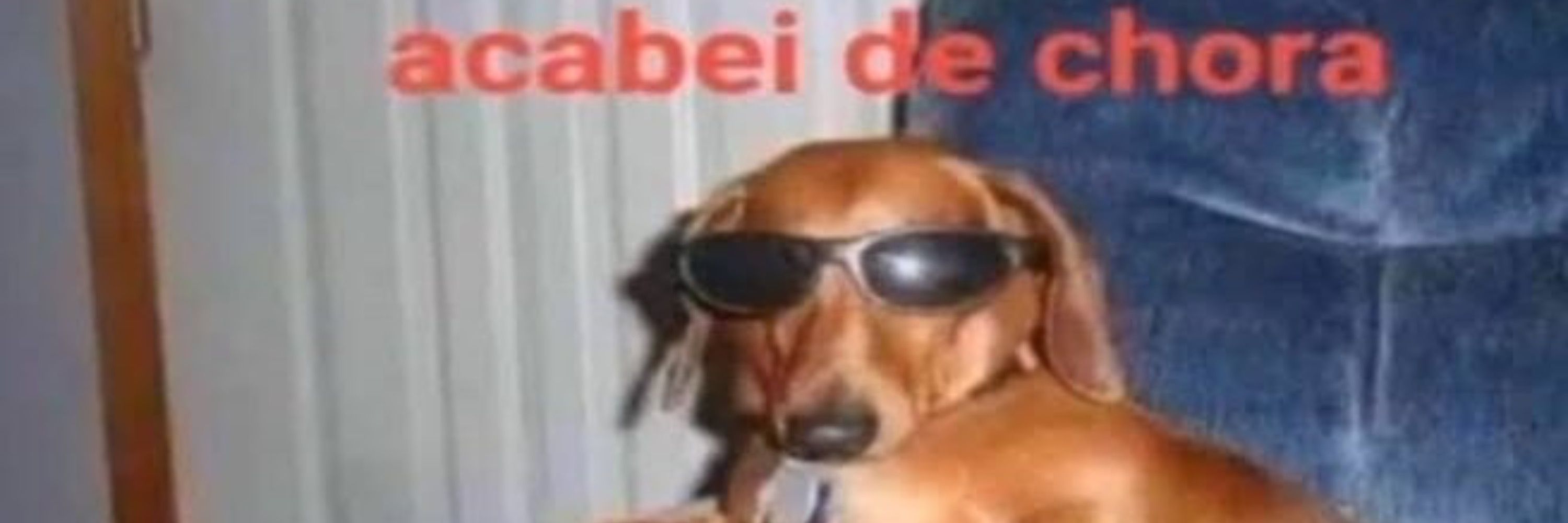 *ruido de chimarrao*