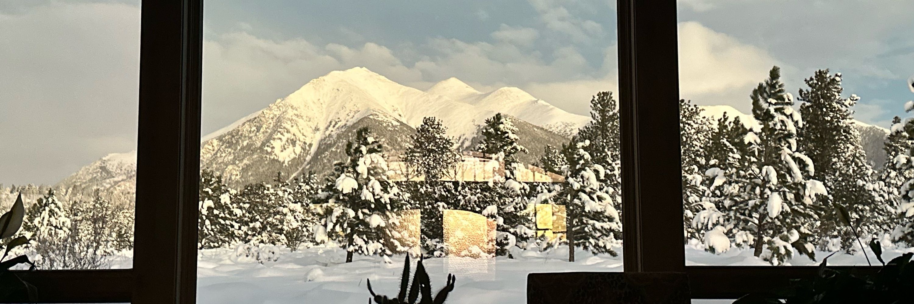 Rocky Mountain Man (David)