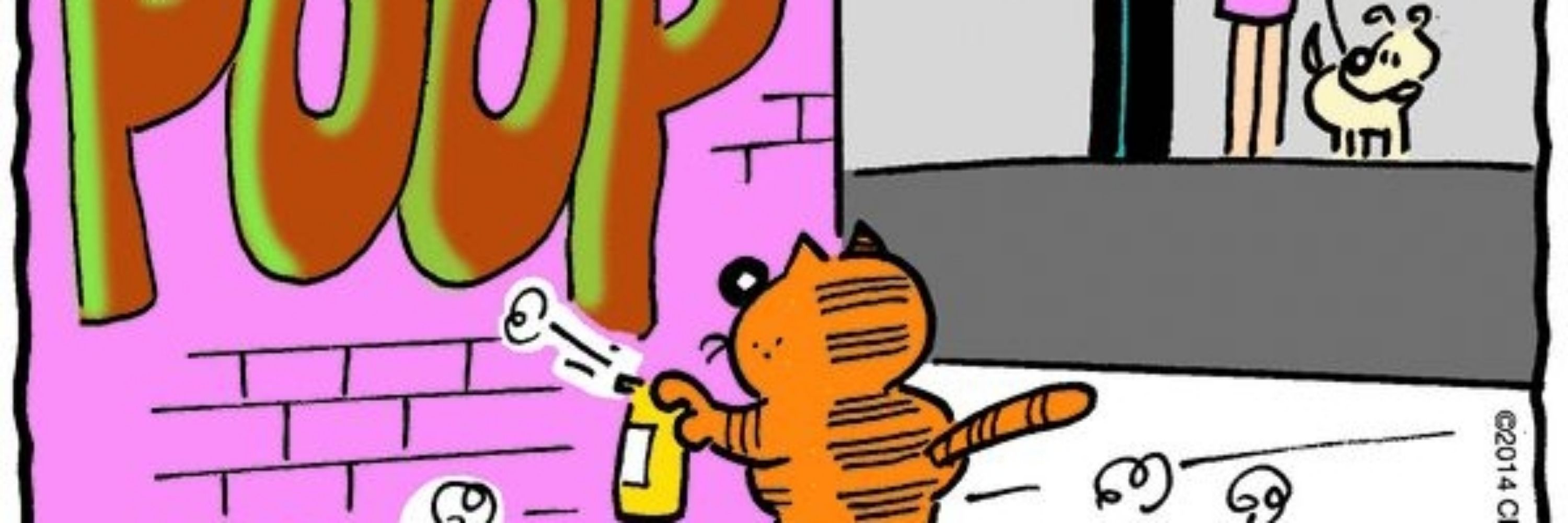 a cat wearing a nice sweater