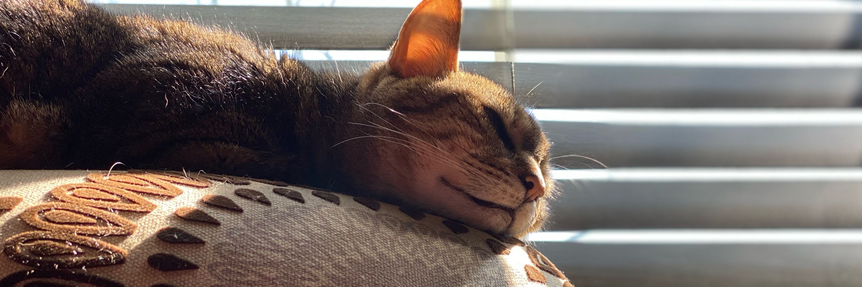 Milo