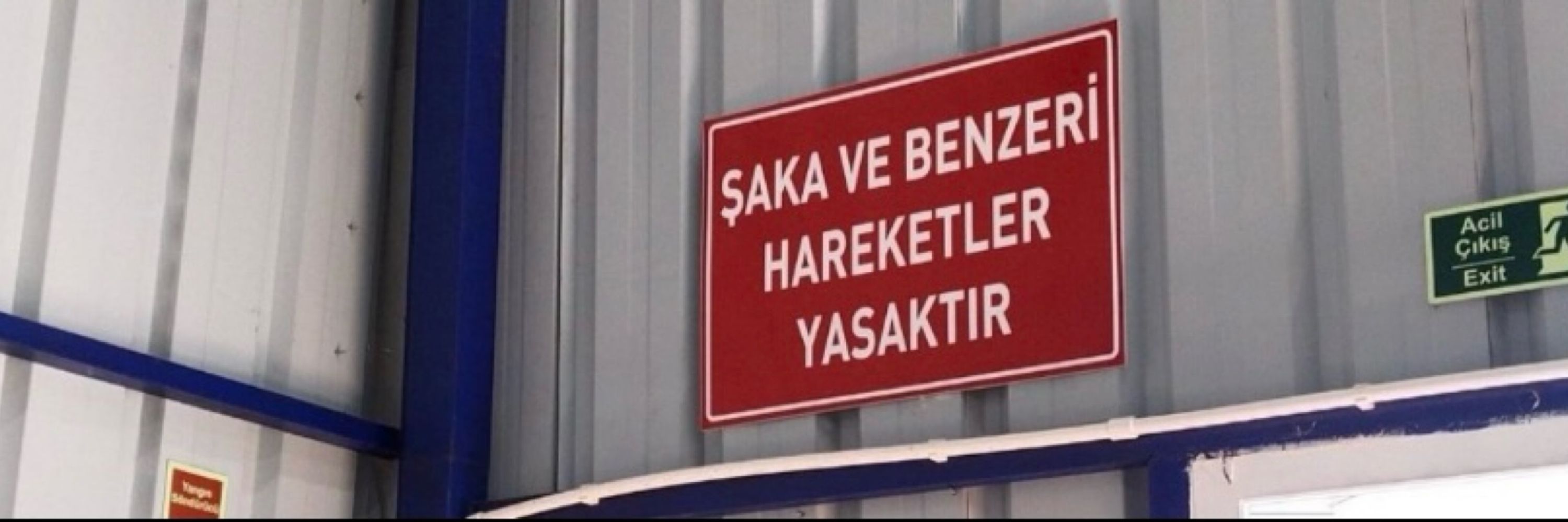 E. Merve Akdemir