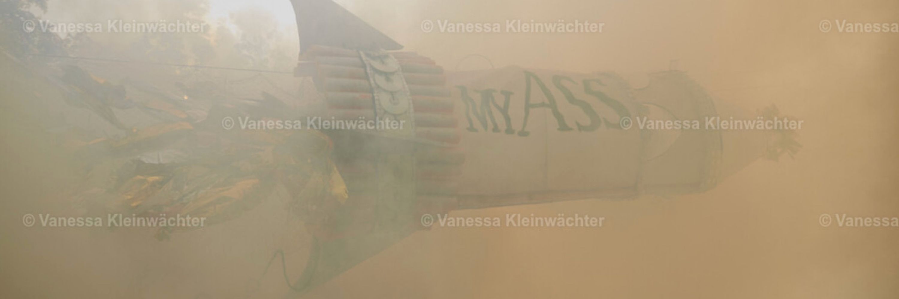 Vanessa